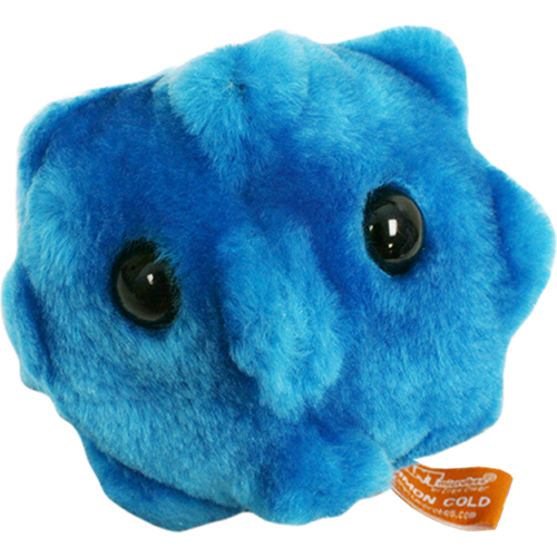 common cold plush