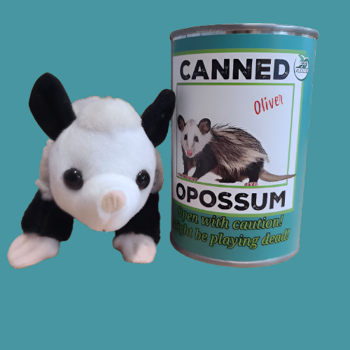 Canned Opossum-Weird-Funny-Gags-Gifts-Stupid-Stuff