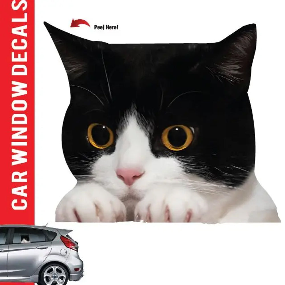 Aahs Enterprises Funny Novelties Tuxedo Black Cat Car Window Decal