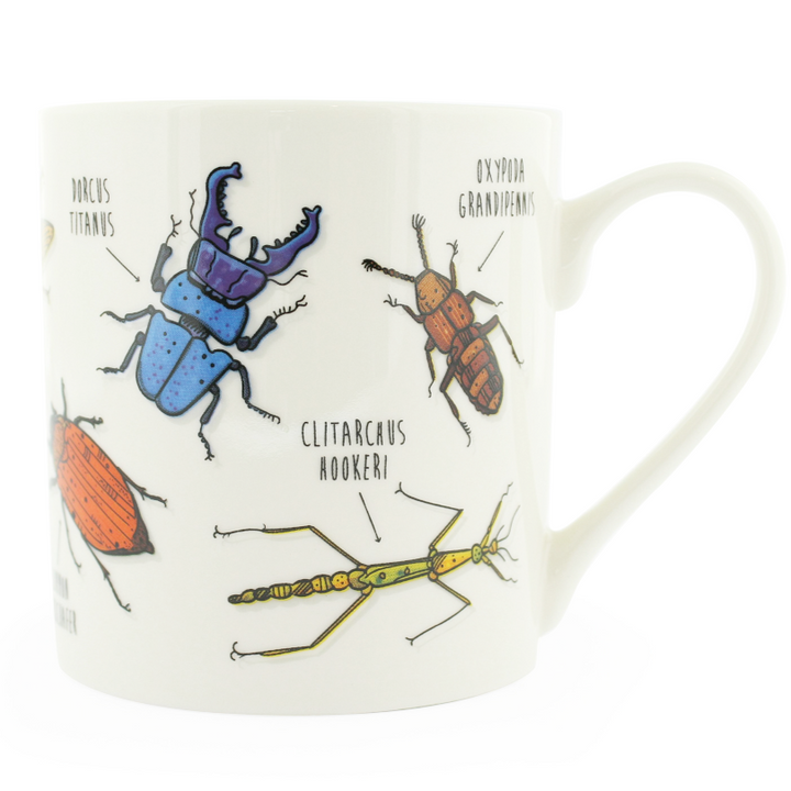 Ginger Fox Drinkware & Mugs Rude Bugs Mug